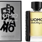 Salvatore Ferragamo Uomo Edt 100 Ml
