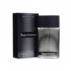 Ermenegildo Zegna intenso 100Ml Edt