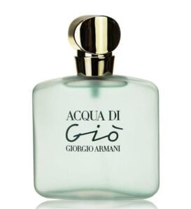 Giorgio Armani Acqua Di Gio Edt 100 Ml