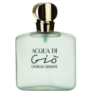 Giorgio Armani Acqua Di Gio Edt 100 Ml