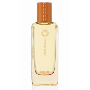 Hermes Ambre Narguile 100 Ml Unisex Parfüm